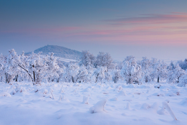 Wintermorgen bei Altenberg