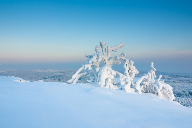 Kahleberg bei -19°C