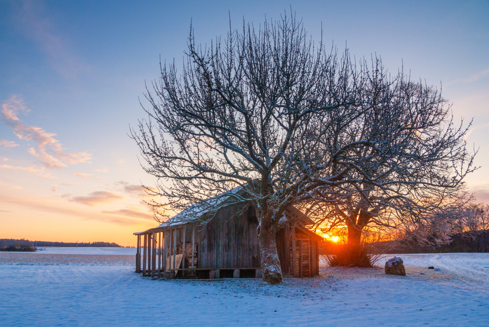 Wintermorgen bei Bermaringen