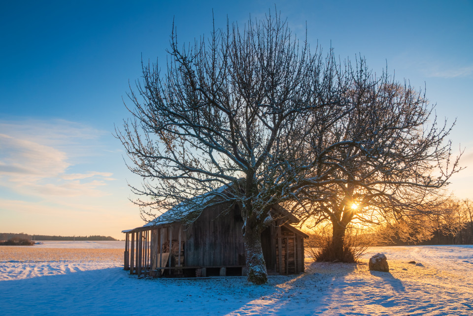 Wintermorgen bei Bermaringen