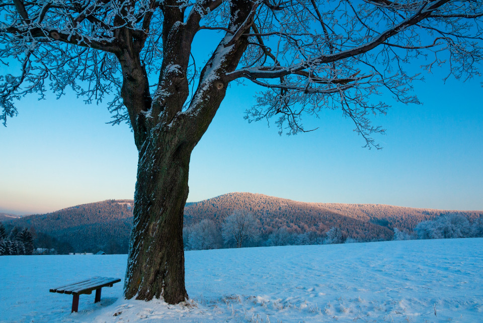 Oberhalb Kipsdorf