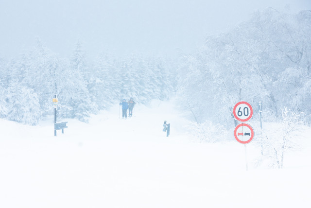Winter in Cínovec
