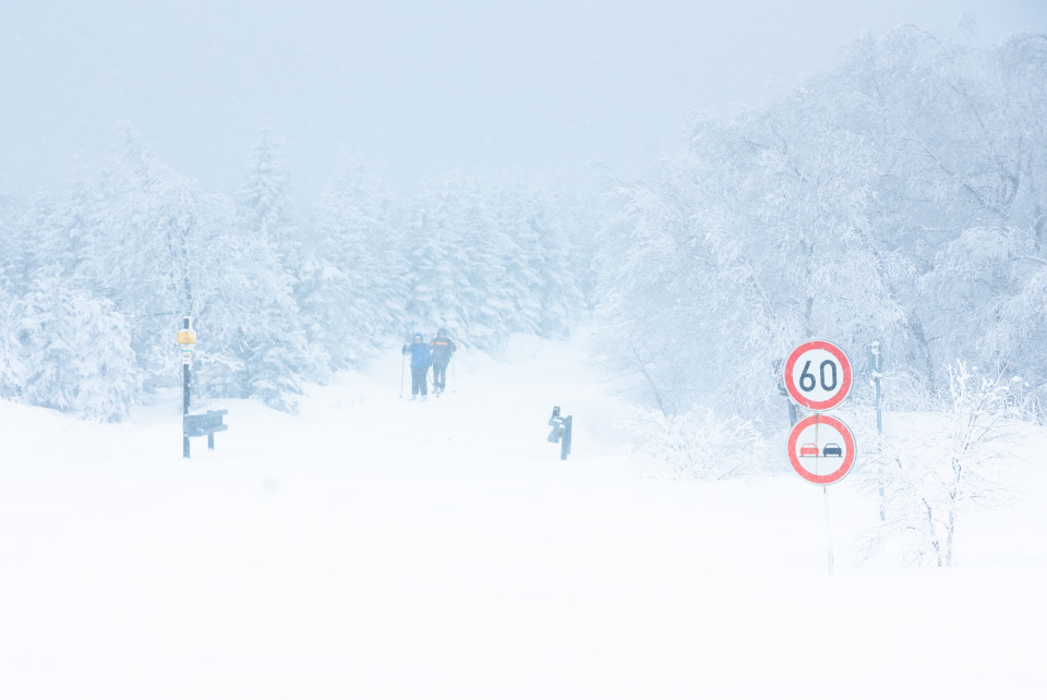 Winter in Cínovec