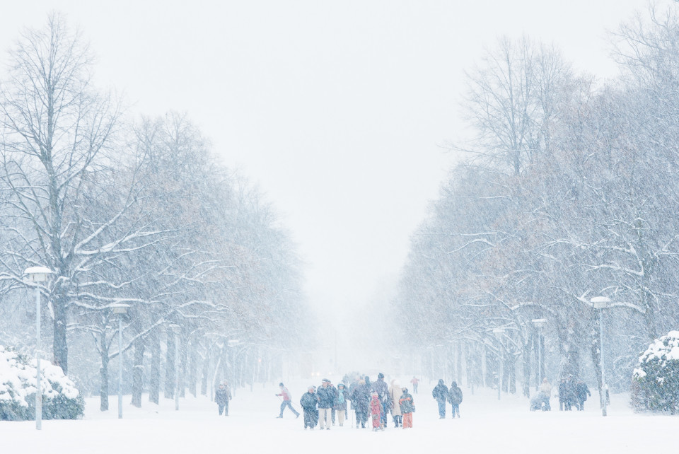 Schnee in Dresden: Großer Garten