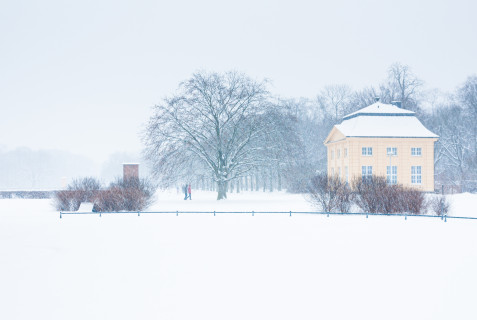 Schnee in Dresden: Großer Garten