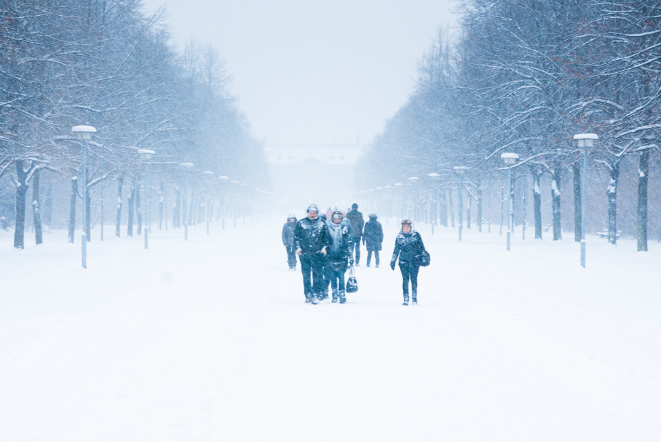 Schnee in Dresden: Großer Garten