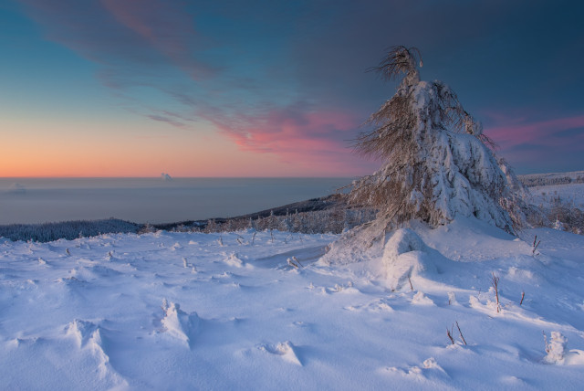 Wintermorgen bei Cínovec