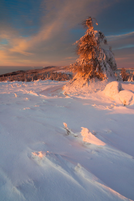 Wintermorgen bei Cínovec