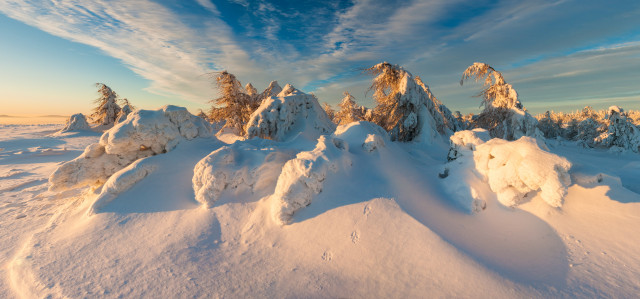 Wintermorgen bei Cínovec