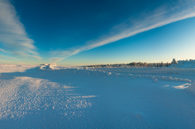 Wintermorgen bei Cínovec