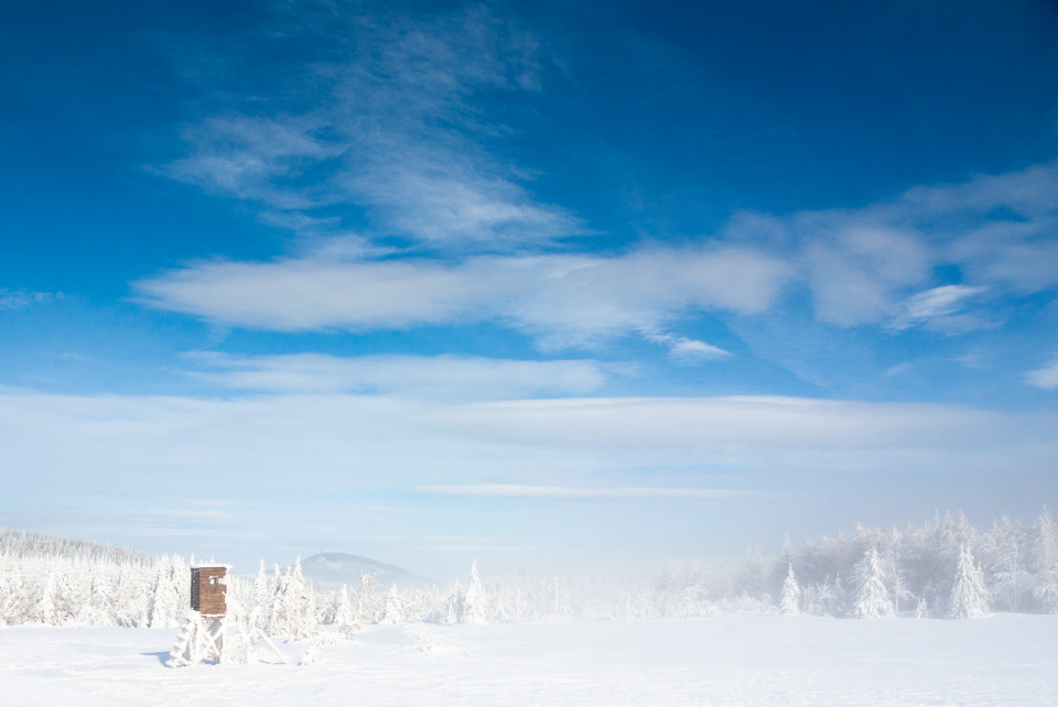 Winterlandschaft bei Zinnwald-Georgenfeld