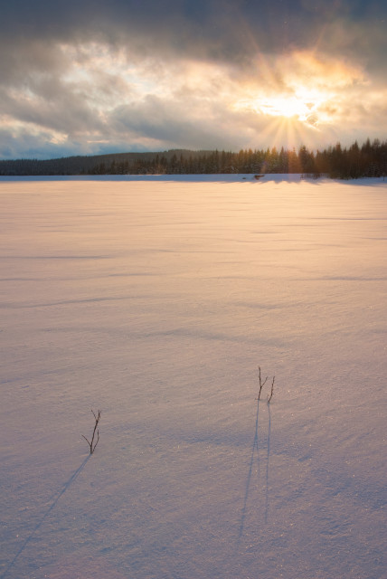 Schneebedeckter Speichersee (Neuer Galgenteich)