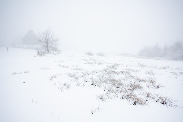 Spätwinter, Zinnwald-Georgenfeld