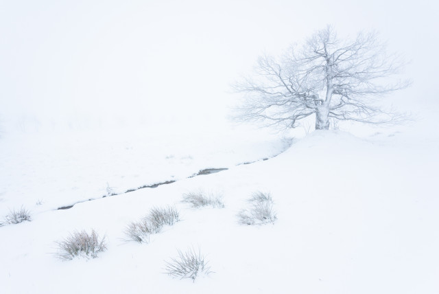 Spätwinter, Zinnwald-Georgenfeld