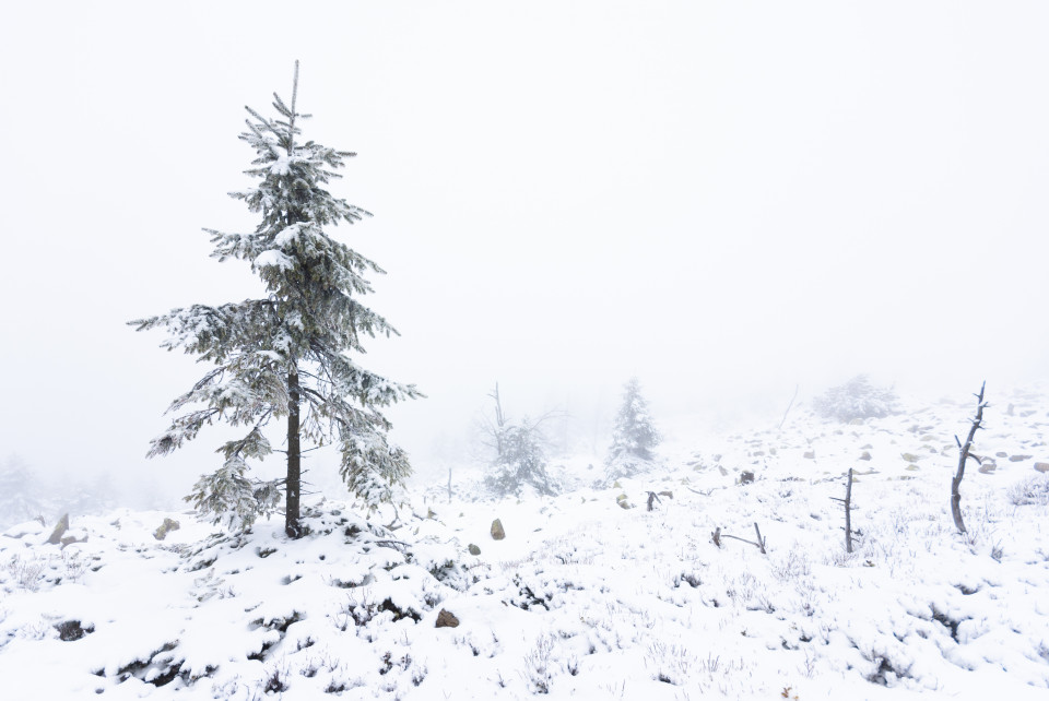 Spätwinter, Kahleberg