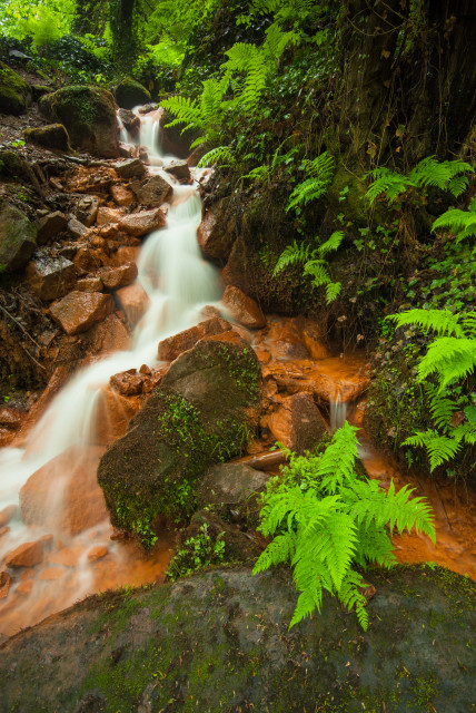 Quelle in der Dürrkamnitz-Schlucht (údolí Suché Kamenice)