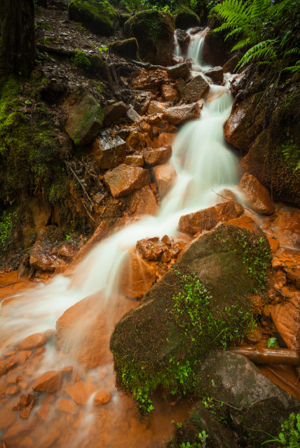 Quelle in der Dürrkamnitz-Schlucht (údolí Suché Kamenice)