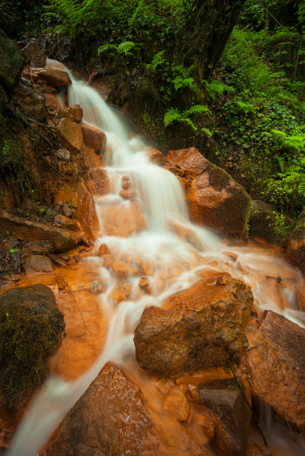 Quelle in der Dürrkamnitz-Schlucht (údolí Suché Kamenice)