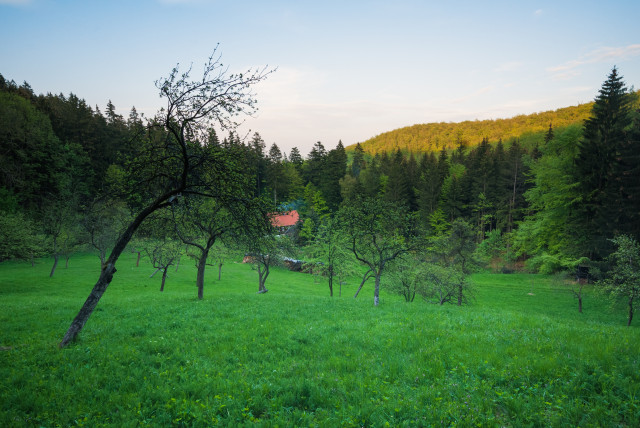 Angermannmühle im Bielatal