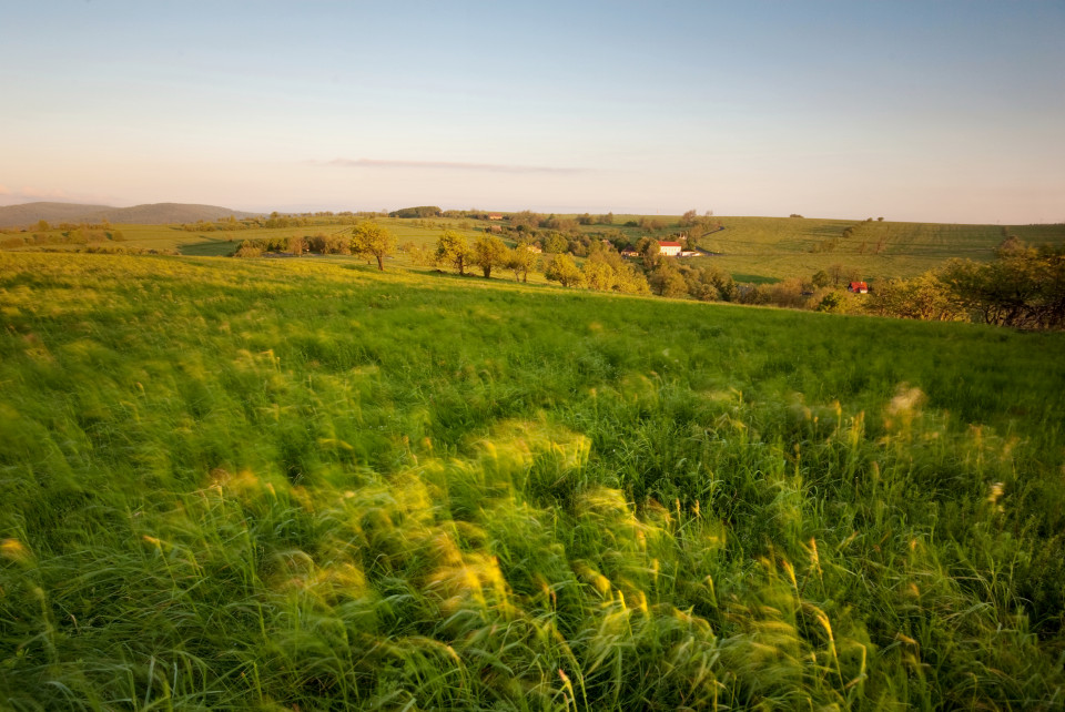 Windiger Sommermorgen bei Nakléřov