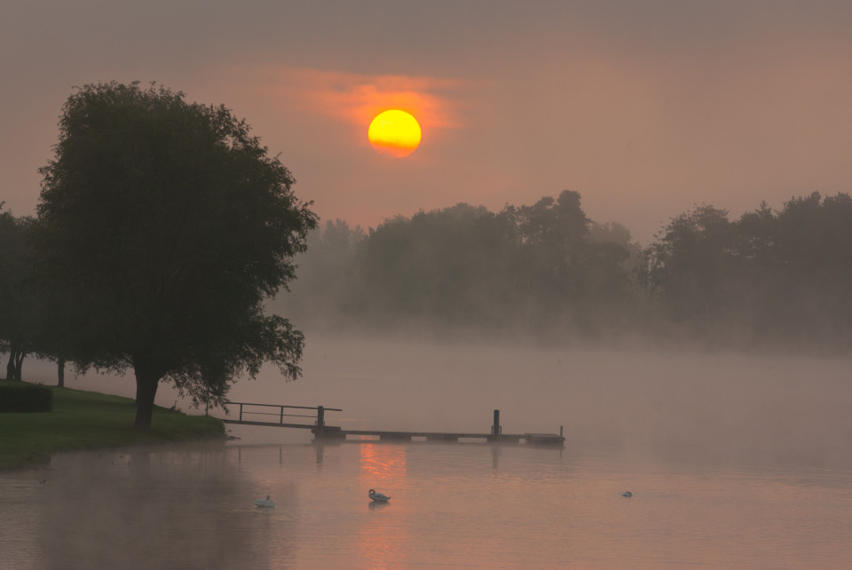 Sonnenaufgang am Rothsee