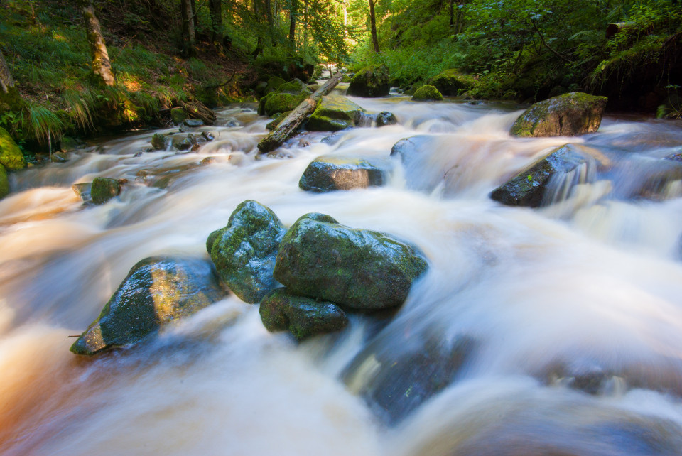 In der Ravennaschlucht nach ergiebigen Regenfällen