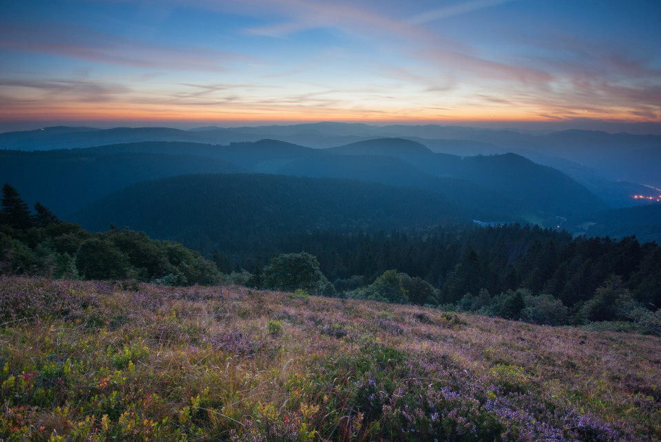 Morgendämmerung auf dem Belchen