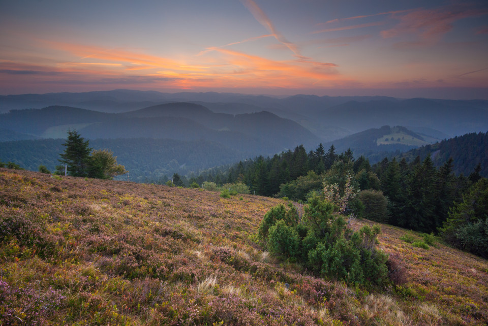 Morgendämmerung auf dem Belchen