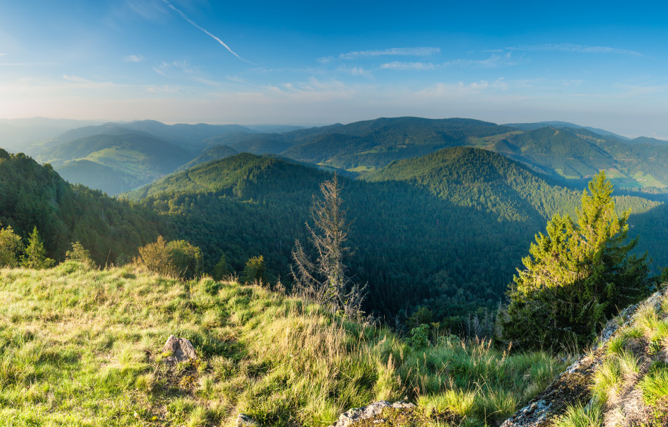 Aussicht vom Hohkelch (1264m) am Belchen