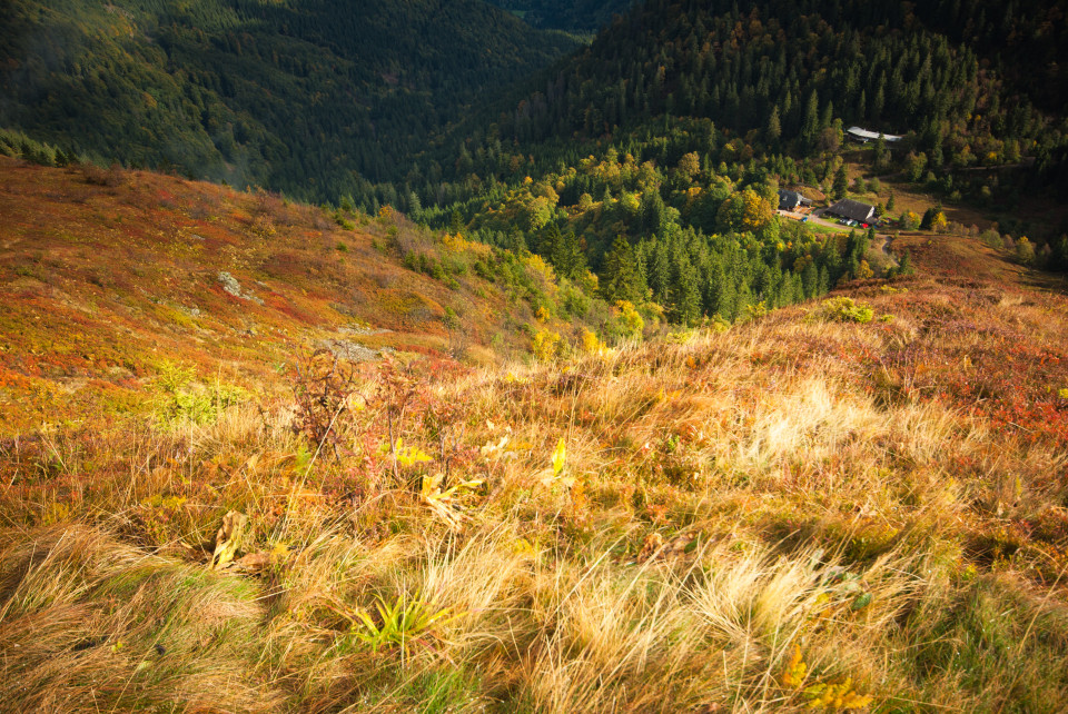 Blick vom Feldberg ins Zastlertal