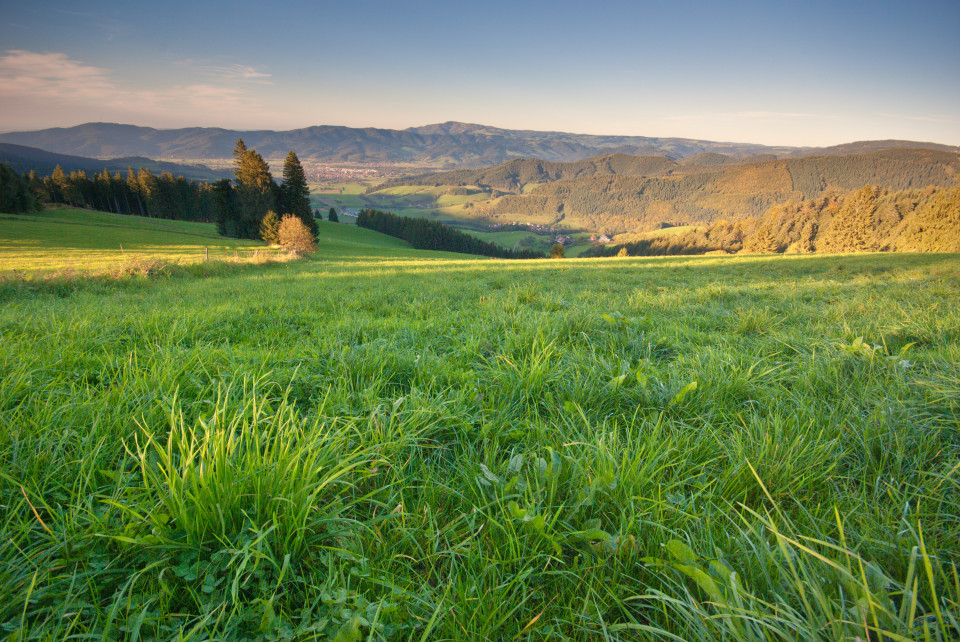 Blick über das Dreisamtal