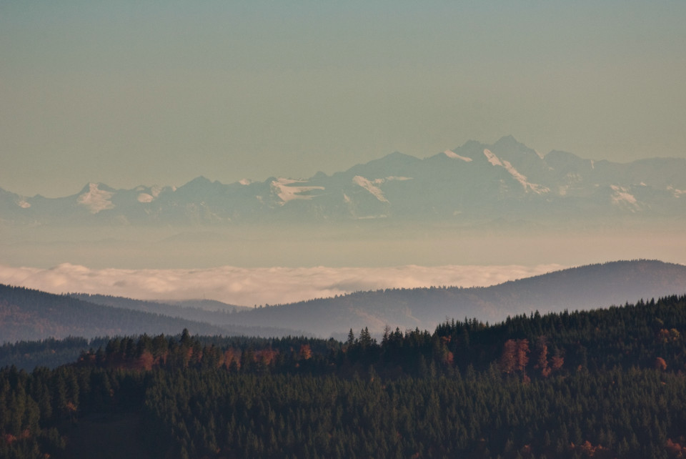 Inversionswetterlage am Schauinsland: Alpenblick