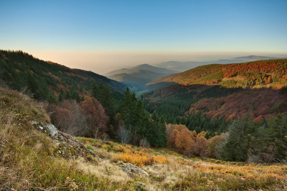 Inversionswetterlage am Schauinsland