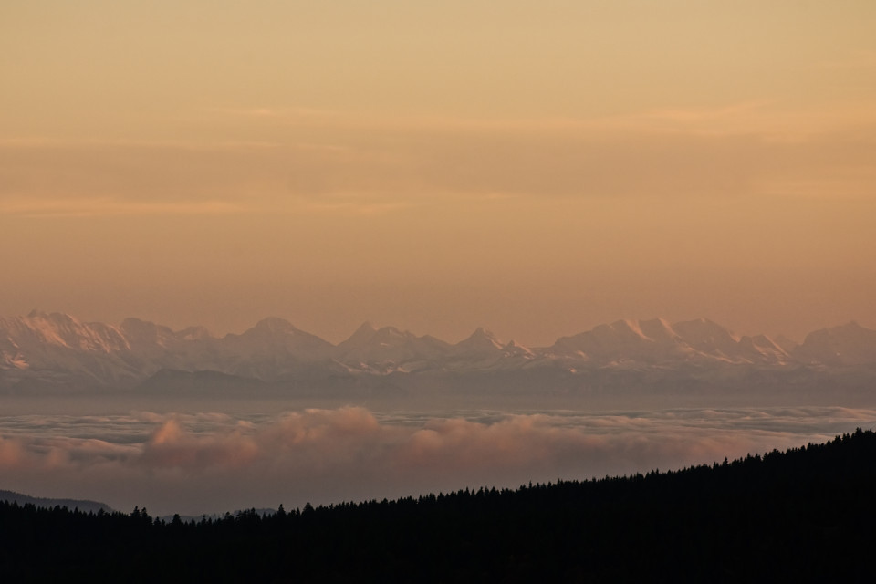 Inversionswetterlage am Schauinsland: Alpenblick