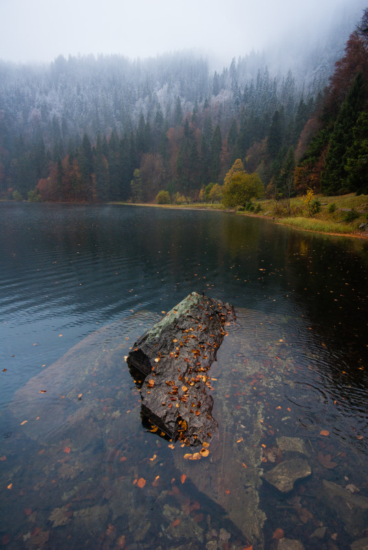 Erster Schnee über dem Feldsee