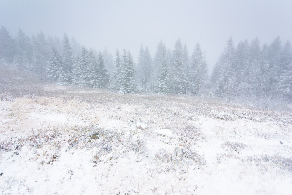 Erster Schnee am Feldberg