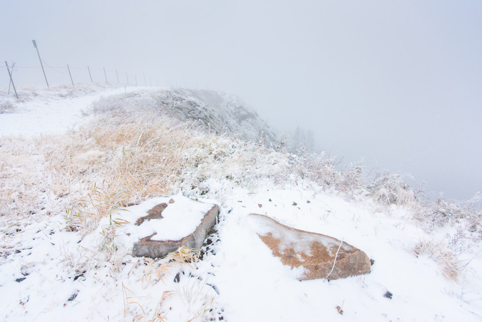 Erster Schnee am Feldberg