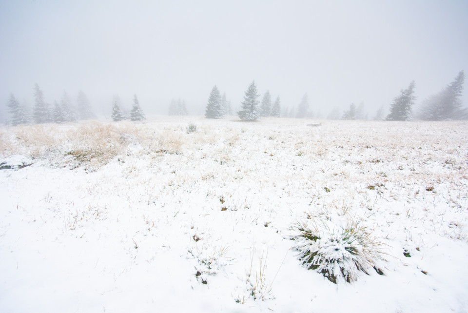 Erster Schnee am Feldberg