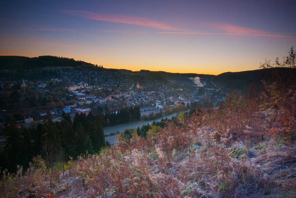 Blick über Neustadt