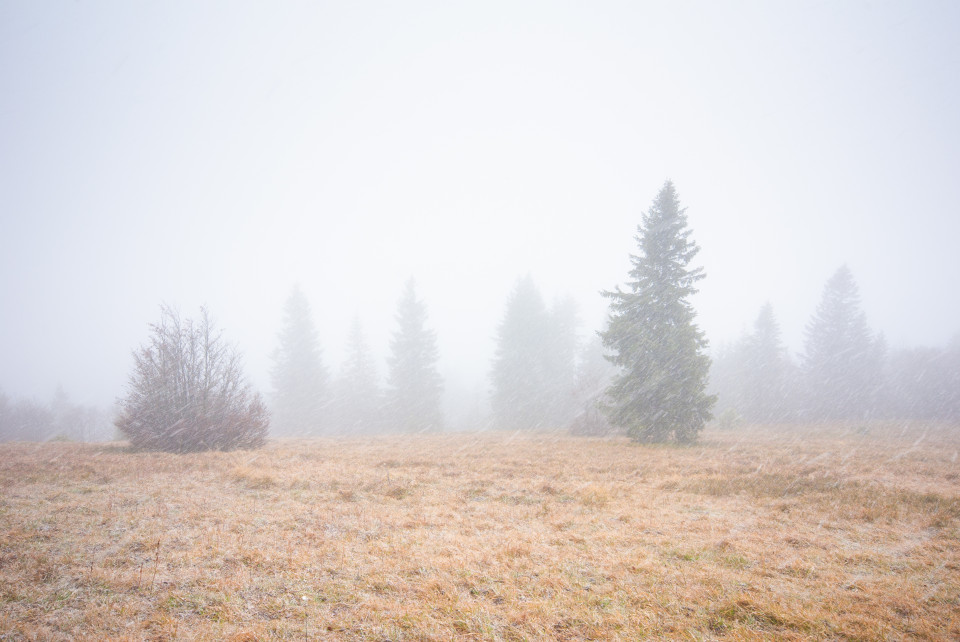 Herbstschnee am Feldberg