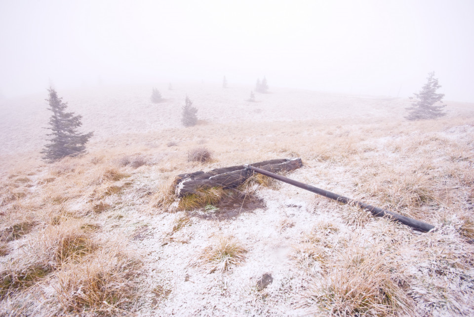 Herbstschnee am Feldberg