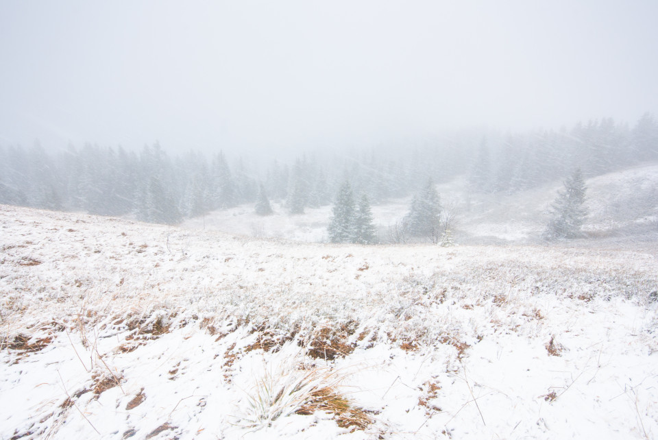 Herbstschnee am Feldberg