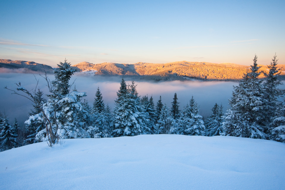 Wintermorgen auf dem Bildstein bei Schluchsee