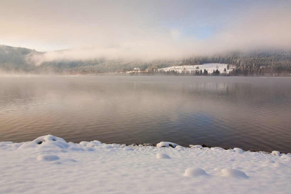 Wintermorgen am Schluchsee