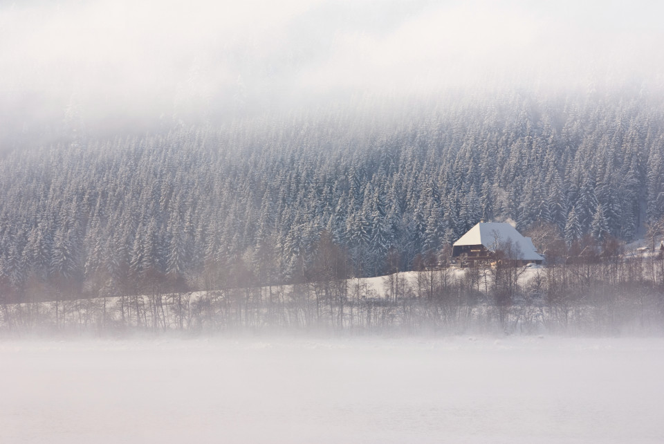 Wintermorgen am Schluchsee