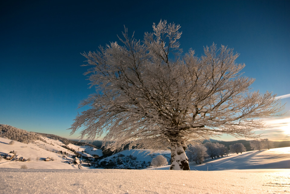 Winter in Hofsgrund