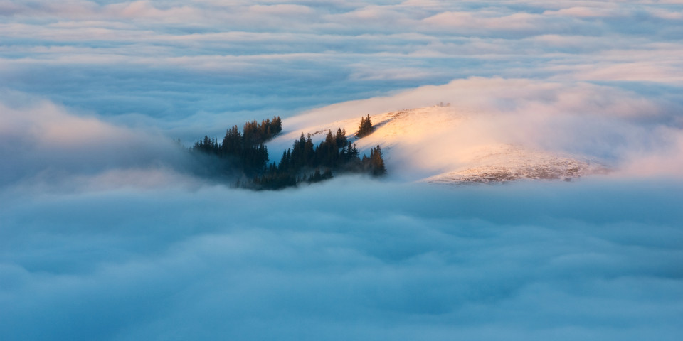 Insel im Nebelmeer