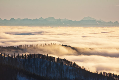 Alpenblick vom Herzogenhorn, rechts im Hintergrund der Mont Blanc