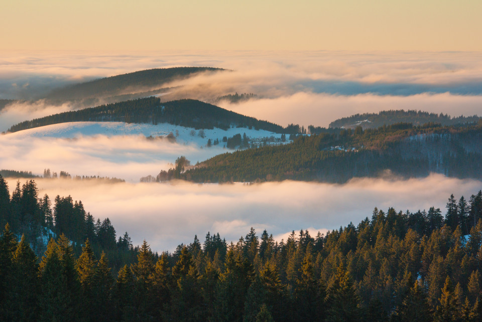 Inversionswetterlage am Herzogenhorn