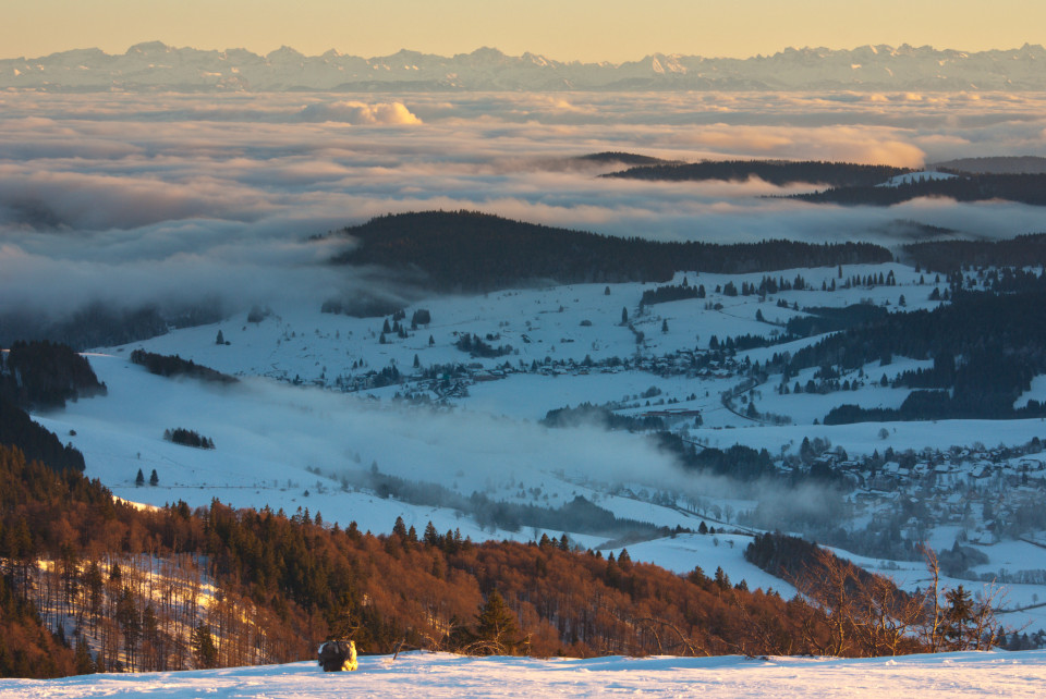 Blick vom Herzogenhorn über Bernau zu den Alpen